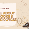 *Rocks & Minerals Slideshow MEGA BUNDLE - Image 9